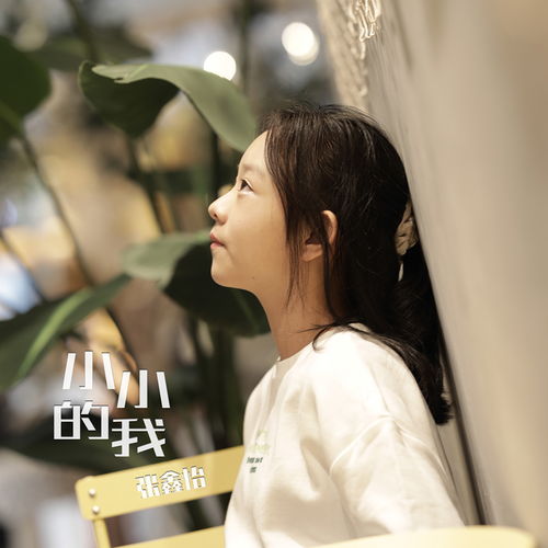 小小的我 張鑫怡 高音質(zhì)在線試聽 小小的我歌詞 歌曲下載 酷狗音樂