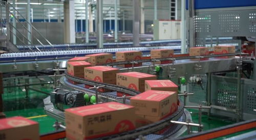 一張小小標(biāo)簽，元?dú)馍窒破鹦袠I(yè)綠色變革